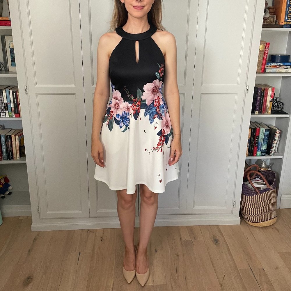 NWT Ted Baker Size 1 Skater Dress